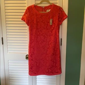 Hot pink summer/spring dress!